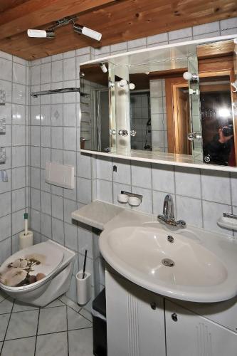 a bathroom with a sink and a toilet and a mirror at Kuanerhof Wohnung 2-4 Personen in Ried im Zillertal