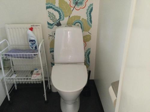 a bathroom with a white toilet in a room at Mysigt HÄRBRE STUGA med utsikt över Siljan in Rättvik