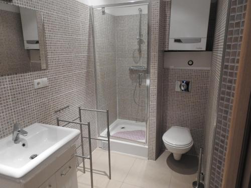 a bathroom with a shower and a toilet and a sink at apartament Jaśkowy in Żarnowska