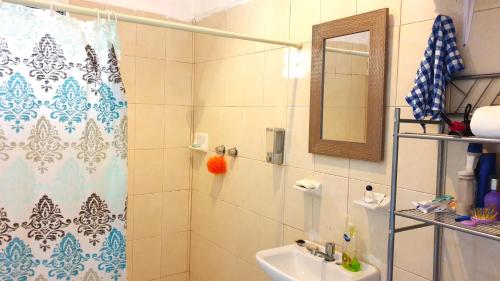 uma casa de banho com um chuveiro e um lavatório. em Casa Mayab Bacalar em Bacalar