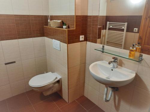 a bathroom with a toilet and a sink at Velký apartmán Cihlarka in Cerny Dul