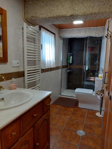 a bathroom with a sink and a toilet at La Casa de las rocas - Ribeira Sacra in Rubiacós