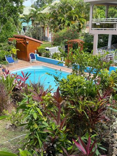 哥西爾的住宿－Bas de Villa ALPINIA au Gosier，花园中的一个游泳池