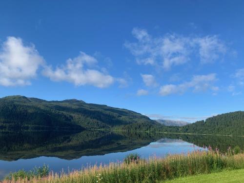 Gallery image of Aspnes Camping AS in Mosjøen