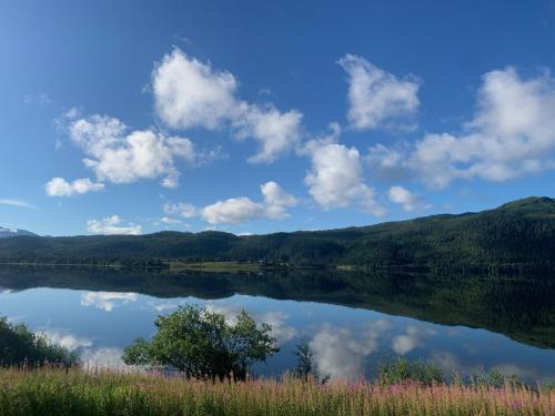 Gallery image of Aspnes Camping AS in Mosjøen