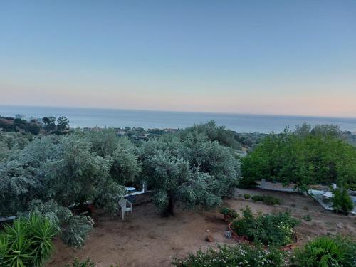 an overhead view of a garden with trees and the ocean at Daphne Studios in Marathokampos