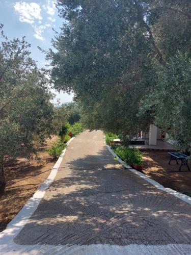 a tree lined road with a bench in a park at Daphne Studios in Marathokampos