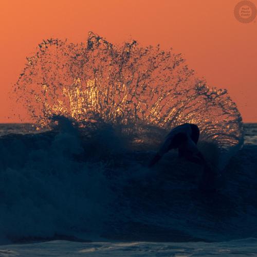 a person riding a wave on a surfboard in the ocean at Shark Town Mal Pais in Santa Teresa Beach