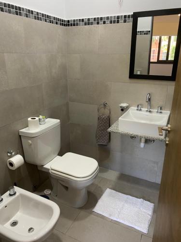 a bathroom with a toilet and a sink at Bajada Vieja Departamentos in Posadas
