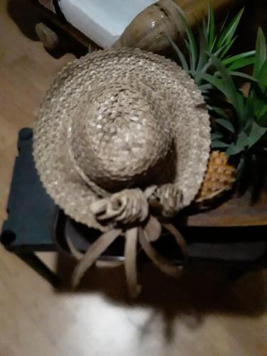 a basket with a plant on a table at Royal Camping TENTE NON INCLUSE Espace Camping in Patio