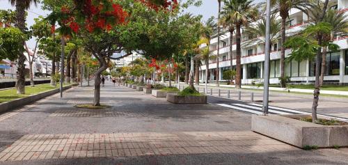 Playa de las Americas-Parque Santiago II
