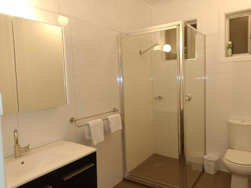 a bathroom with a shower and a sink and a toilet at Buffalo Motel and Country Retreat in Porepunkah