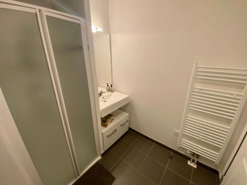 Kúpeľňa v ubytovaní le Clot Saint Clement - Logement de charme Rouen - 091