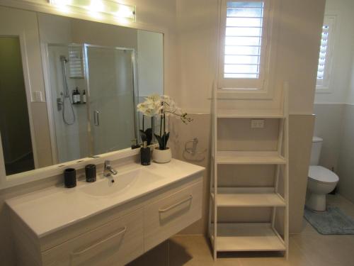 een badkamer met een wastafel, een spiegel en een toilet bij Palm Paradise in Tauranga