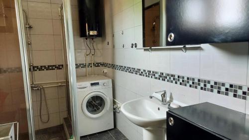 La salle de bains est pourvue d'un lave-linge et d'un lavabo. dans l'établissement Dvor, à Donja Toponica