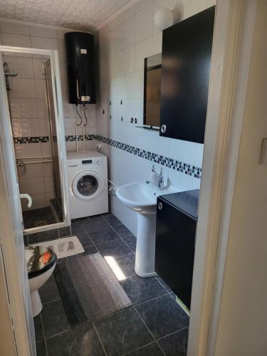 a bathroom with a sink and a washing machine at Dvor in Donja Toponica