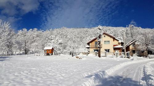 einen schneebedeckten Hof mit einem Haus und Bäumen in der Unterkunft Family friendly house with a parking space Licki Osik, Velebit - 16777 in Gospić