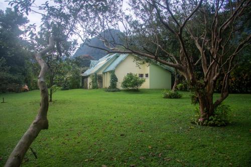 uma casa com uma árvore no quintal em Residencia entera Valle de Anton, El Valle de Lily em El Valle