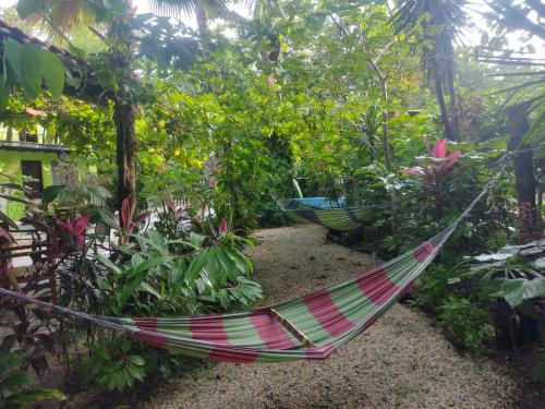 Taman di luar Cabinas del Mar