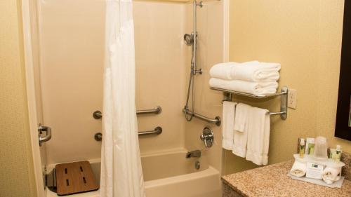 Ванная комната в Holiday Inn Express Hotel & Suites Saginaw by IHG