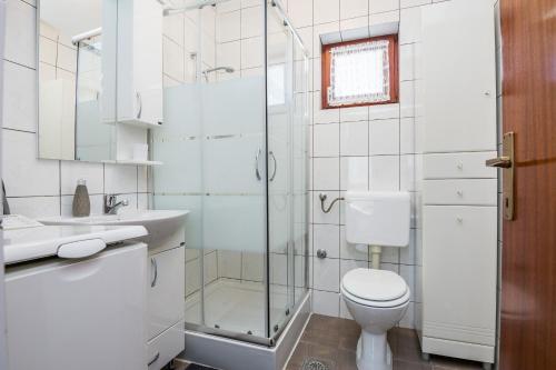 W łazience znajduje się toaleta i przeszklony prysznic. w obiekcie Apartments with a parking space Vir - 18527 w mieście Vir