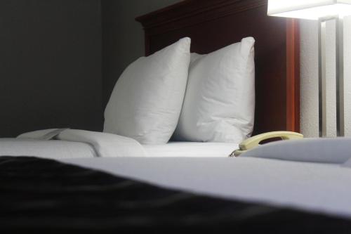 a bed with white pillows in a hotel room at Country Inn & Suites by Radisson, Lackland AFB San Antonio, TX in San Antonio