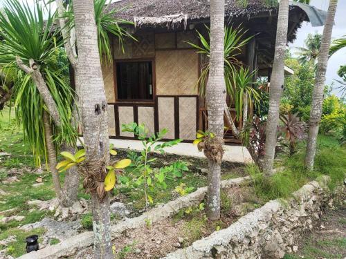 a house with palm trees in front of it at Allba's Homestay in Moalboal