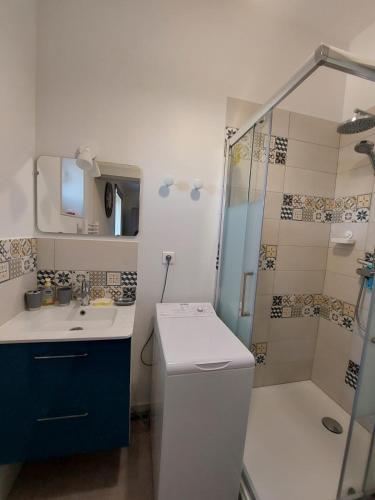 une salle de bain avec une douche, des toilettes et un lavabo dans l'établissement appartement cosy Hôtel Continental, à Vittel