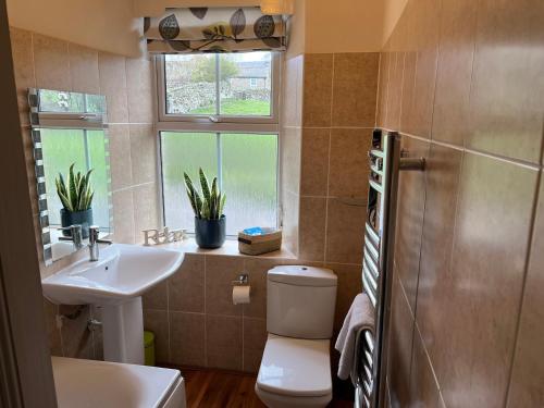 uma casa de banho com um WC, um lavatório e uma janela em Hackney House em Richmond