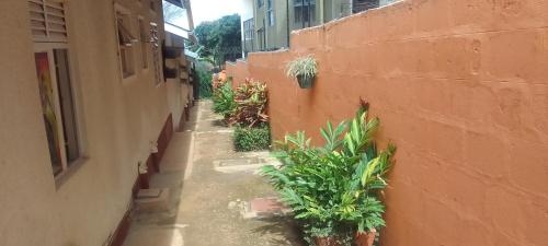 an alley with potted plants on the side of a building at Dream jet suites in Entebbe