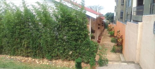 a large green bush next to a building at Dream jet suites in Entebbe