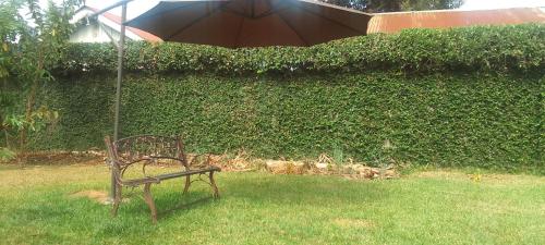 a bench sitting in the grass under an umbrella at Dream jet suites in Entebbe