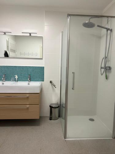 a bathroom with a shower and a sink at Sova in HoÅ¡Å¥ka