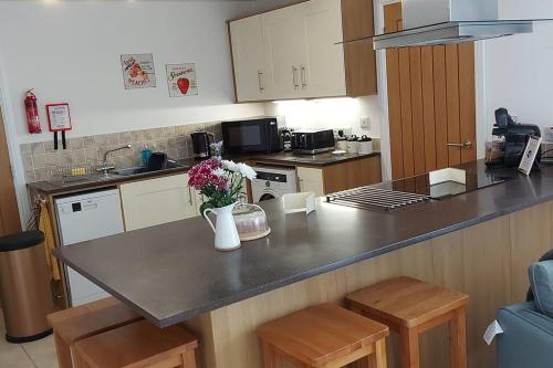 A kitchen or kitchenette at Round The Bend, an annexe in the quiet village of Odcombe