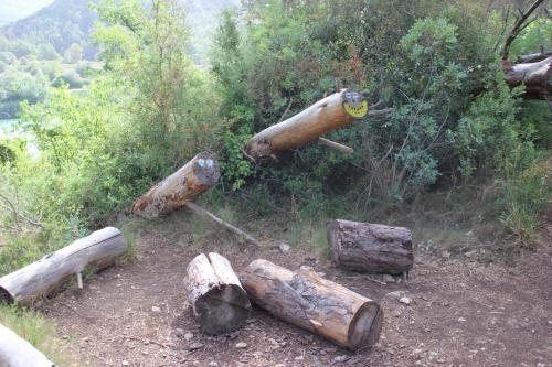 a group of logs on the side of a forest at Apartamento completamente reformado en el casco antiguo con vistas al rio in Balaguer