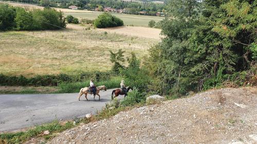 two people are riding horses down a road at B&B LE TERME in Rivanazzano