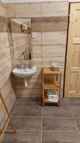 ein Bad mit einem Waschbecken und einem Spiegel in der Unterkunft Chalupa U Kolibříka in Želnava