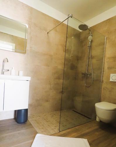a bathroom with a shower with a toilet and a sink at Arte Oliva in Grebaštica