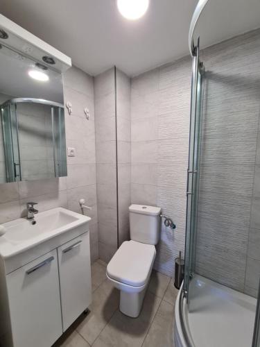 a bathroom with a toilet and a sink and a shower at Studio MM Kopaonik in Kopaonik