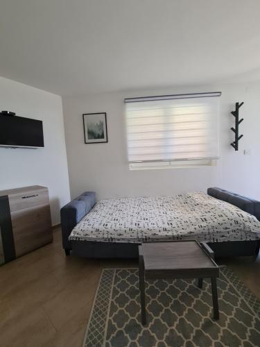 a bedroom with a bed and a couch and a television at Studio MM Kopaonik in Kopaonik