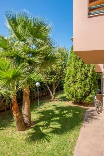 a palm tree in a yard next to a building at Theos Holidays Apartments in Kato Daratso