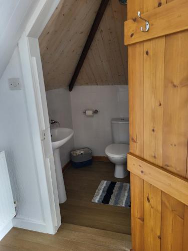 a bathroom with a toilet and a sink in a attic at Seasidesteps in Fishguard