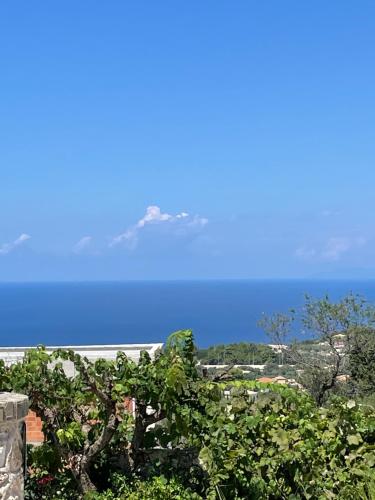 uma vista para o oceano a partir de uma casa em Goudis Villas em Tsoukaladhes