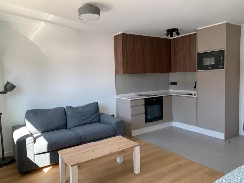 Dapur atau dapur kecil di Bierzo Habita Apartments