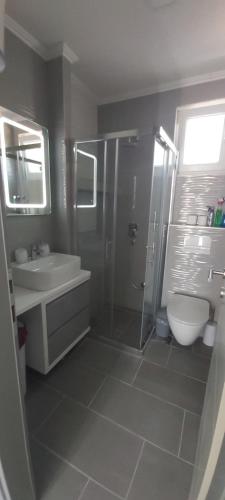 a bathroom with a shower and a sink and a toilet at Urban House M & M in Mostar