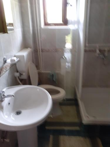a bathroom with a toilet and a sink and a shower at Studio apartman jelena in Zaovine