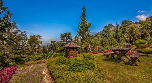 Aed väljaspool majutusasutust Puncak Pass Resort