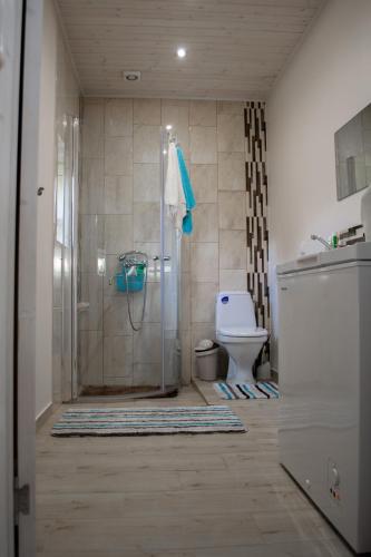 La salle de bains est pourvue d'une douche et de toilettes. dans l'établissement Apartamentai Šilutėje, à Šilutė