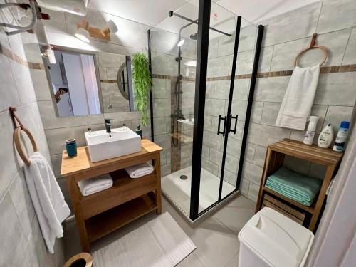 La salle de bains est pourvue d'un lavabo et d'une douche. dans l'établissement Soleiade Le Gosier - Accès Plage, au Gosier