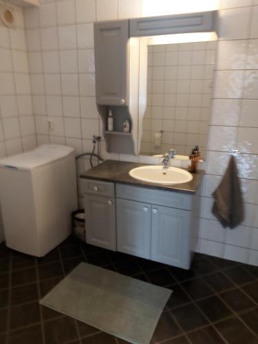 a bathroom with a sink and a toilet at Huset i skogen in Moss